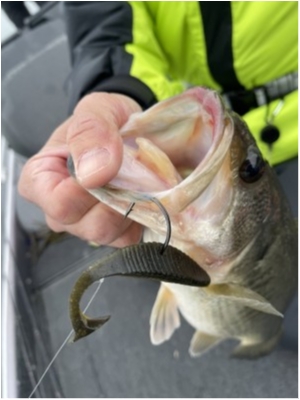 hideup 永野総一朗 ブログ写真 2021/02/28