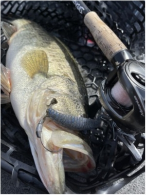 hideup 永野総一朗 ブログ写真 2021/03/03