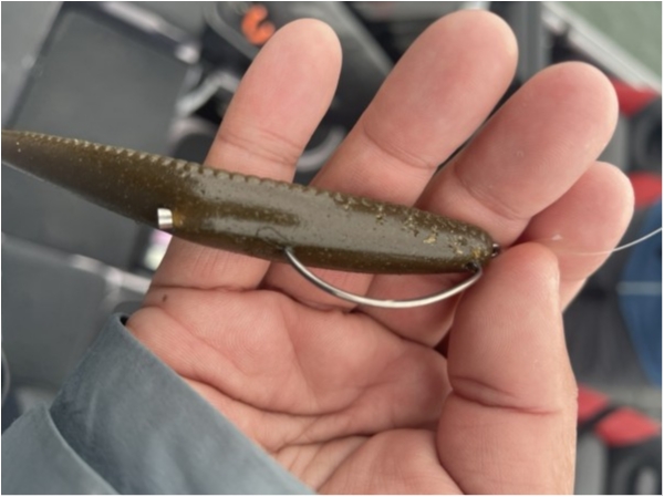 hideup 永野総一朗 ブログ写真 2021/03/03