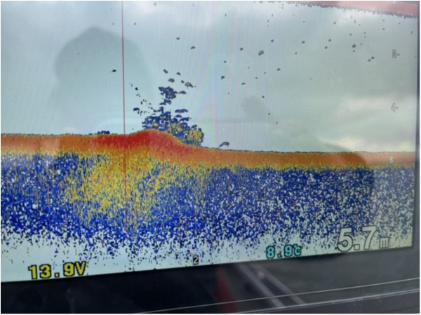 hideup 永野総一朗 ブログ写真 2021/03/04