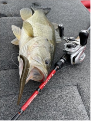 hideup 永野総一朗 ブログ写真 2021/03/05