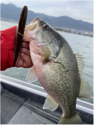 hideup 永野総一朗 ブログ写真 2021/03/10