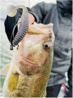 hideup 永野総一朗 ブログ写真 2021/03/14