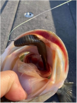 hideup 永野総一朗 ブログ写真 2021/03/14