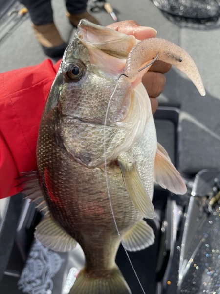 hideup 永野総一朗 ブログ写真 2021/03/14