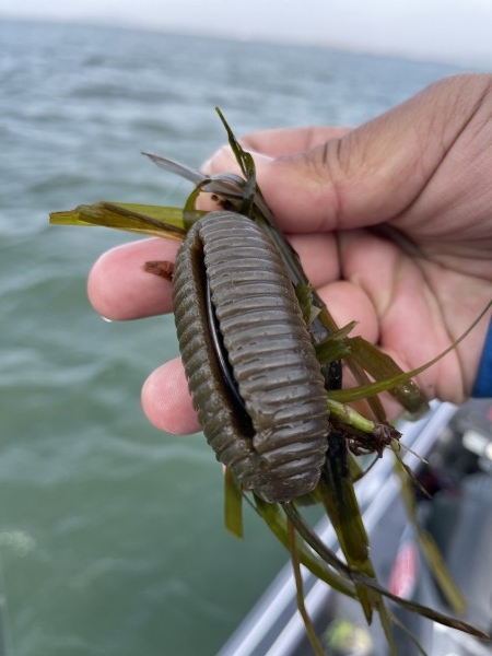 hideup 永野総一朗 ブログ写真 2021/03/17