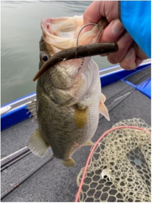 hideup 永野総一朗 ブログ写真 2021/03/18