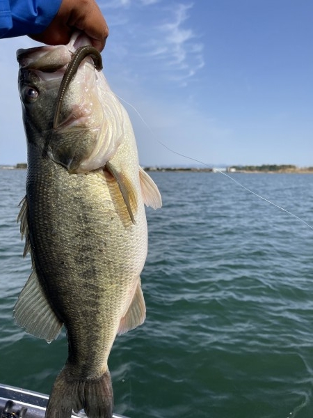 hideup 永野総一朗 ブログ写真 2021/03/19