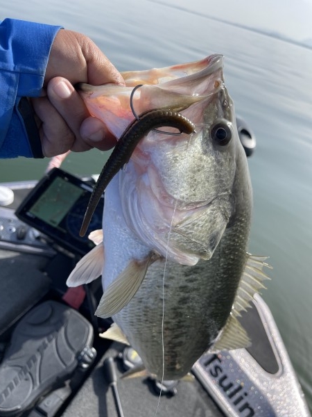 hideup 永野総一朗 ブログ写真 2021/03/19