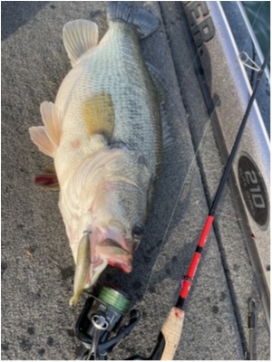 hideup 永野総一朗 ブログ写真 2021/03/22