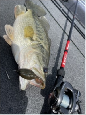 hideup 永野総一朗 ブログ写真 2021/04/16