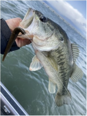 hideup 永野総一朗 ブログ写真 2021/04/18