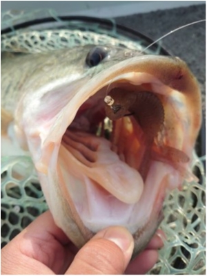 hideup 永野総一朗 ブログ写真 2021/04/22