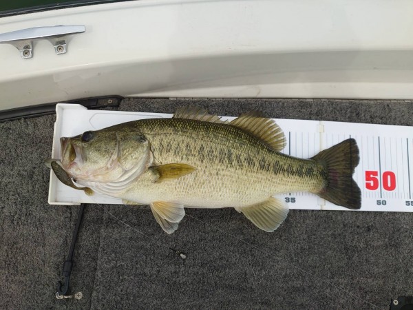 hideup 永野総一朗 ブログ写真 2021/04/22