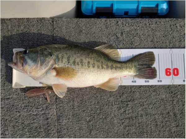 hideup 永野総一朗 ブログ写真 2021/04/22