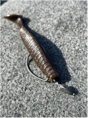 hideup 永野総一朗 ブログ写真 2021/04/22