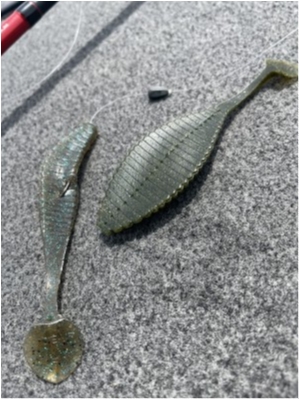 hideup 永野総一朗 ブログ写真 2021/04/23