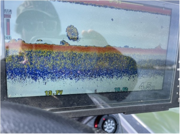 hideup 永野総一朗 ブログ写真 2021/04/29