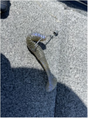 hideup 永野総一朗 ブログ写真 2021/04/29