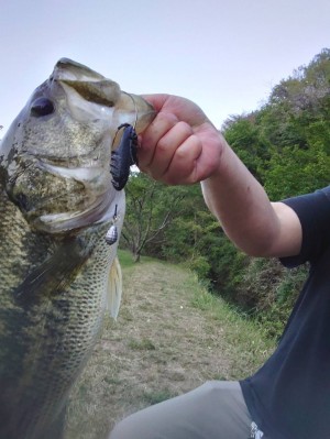 hideup 永野総一朗 ブログ写真 2021/04/29