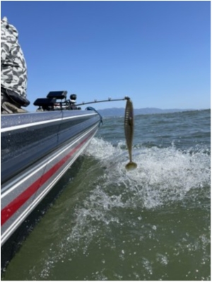 hideup 永野総一朗 ブログ写真 2021/04/29