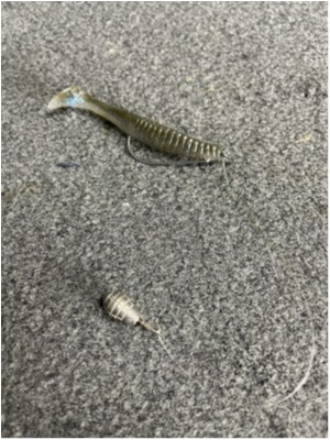 hideup 永野総一朗 ブログ写真 2021/04/29