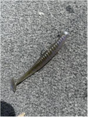 hideup 永野総一朗 ブログ写真 2021/04/29