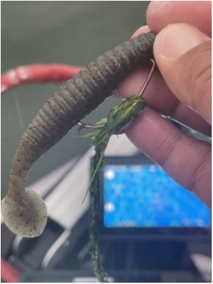 hideup 永野総一朗 ブログ写真 2021/05/02