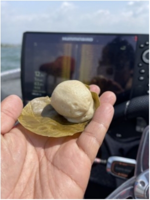 hideup 永野総一朗 ブログ写真 2021/05/10