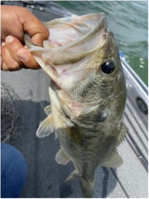 hideup 永野総一朗 ブログ写真 2021/05/10