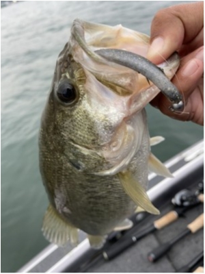 hideup 永野総一朗 ブログ写真 2021/05/10