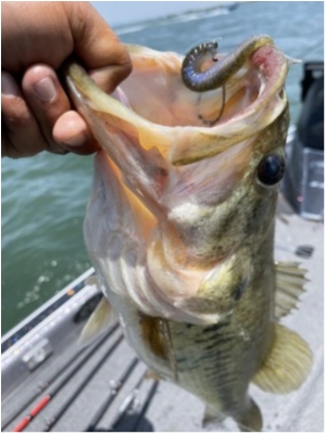 hideup 永野総一朗 ブログ写真 2021/05/10