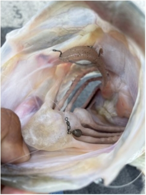 hideup 永野総一朗 ブログ写真 2021/05/10