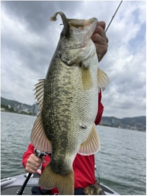 hideup 永野総一朗 ブログ写真 2021/05/10