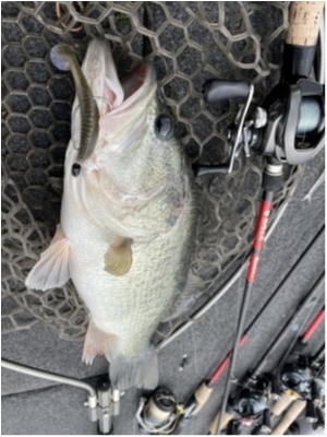 hideup 永野総一朗 ブログ写真 2021/05/10