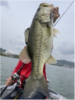 hideup 永野総一朗 ブログ写真 2021/05/10