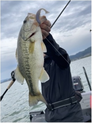 hideup 永野総一朗 ブログ写真 2021/05/13