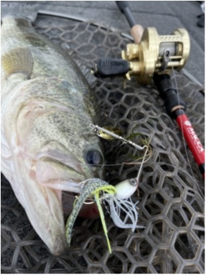 hideup 永野総一朗 ブログ写真 2021/05/13