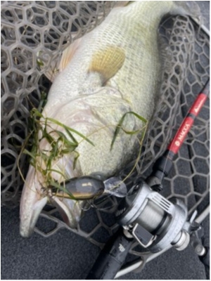 hideup 永野総一朗 ブログ写真 2021/05/13