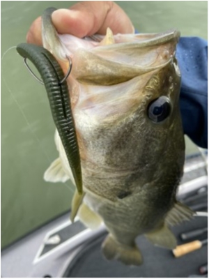 hideup 永野総一朗 ブログ写真 2021/05/22