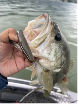 hideup 永野総一朗 ブログ写真 2021/05/22