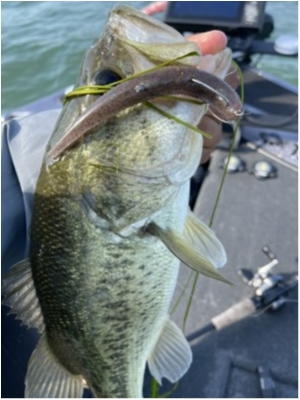 hideup 永野総一朗 ブログ写真 2021/05/24