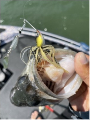 hideup 永野総一朗 ブログ写真 2021/05/24