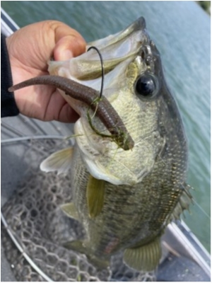 hideup 永野総一朗 ブログ写真 2021/05/25