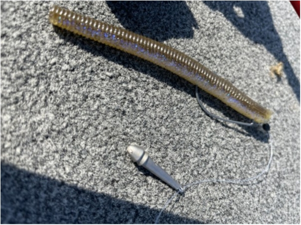 hideup 永野総一朗 ブログ写真 2021/05/29