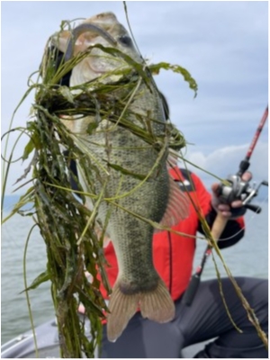 hideup 永野総一朗 ブログ写真 2021/05/29