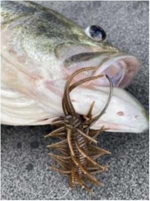 hideup 永野総一朗 ブログ写真 2021/07/08