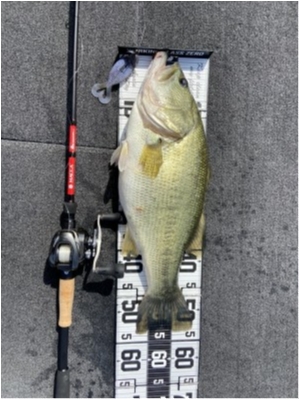 hideup 永野総一朗 ブログ写真 2021/07/08