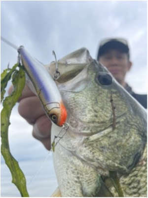 hideup 永野総一朗 ブログ写真 2021/07/08