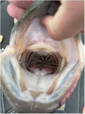 hideup 永野総一朗 ブログ写真 2021/07/10